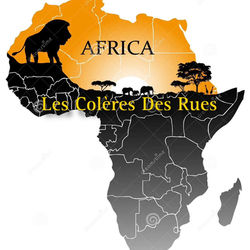 377556155_316878020847555_7637491106702773488_n